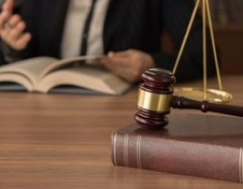 Engagierte Beratung von TimO